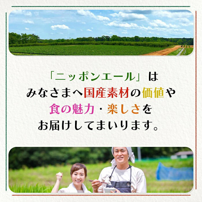 伊藤園 ニッポンエール 大分県産 完熟かぼす 500g ペットボトル 24本入