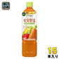 伊藤園 充実野菜 緑黄色野菜ミックス 740g ペットボトル 15本入 野菜ジュース 健康飲料