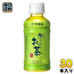 伊藤園 お～いお茶 緑茶 195ml ペットボトル 30本入 お茶 茶 おちゃ おーいお茶