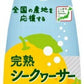 伊藤園 ニッポンエール 沖縄県産 完熟シークヮーサー 410ml ペットボトル 48本 (24本入×2 まとめ買い) 炭酸飲料 ソーダ