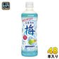 伊藤園 ミネラル梅 500g ペットボトル 48本 (24本入×2 まとめ買い)