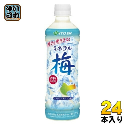 伊藤園 ミネラル梅 500g ペットボトル 24本入
