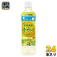 伊藤園 ニッポンエール愛媛県産キウイ 500g ペットボトル 24本入 果汁飲料 キウイジュース