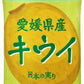 伊藤園 ニッポンエール 愛媛県産キウイ 500g ペットボトル 48本 (24本入×2 まとめ買い) 果汁飲料 キウイジュース