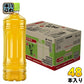 伊藤園 お～いお茶 緑茶 ラベルレス 600ml ペットボトル 48本 (24本入×2 まとめ買い)