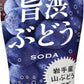 伊藤園 ビビッツ旨渋ぶどうソーダ 450ml ペットボトル 24本入
