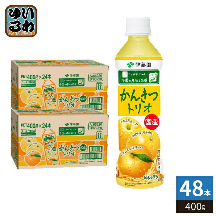 伊藤園 ニッポンエール 国産かんきつトリオ 400g ペットボトル 48本 (24本入×2 まとめ買い) 果汁飲料 温州みかん 河内晩柑 八朔