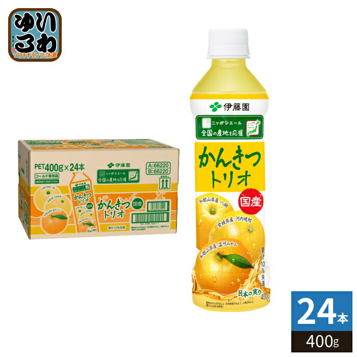 伊藤園 ニッポンエール 国産かんきつトリオ 400g ペットボトル 24本入 果汁飲料 温州みかん 河内晩柑 八朔