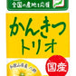 伊藤園 ニッポンエール 国産かんきつトリオ 400g ペットボトル 24本入 果汁飲料 温州みかん 河内晩柑 八朔