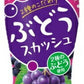 伊藤園 2種のこだわりぶどうスカッシュ 450ml ペットボトル 48本 (24本入×2 まとめ買い) 炭酸飲料 ぶどう