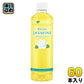 伊藤園 リラックスジャスミンティー VD用 460ml ペットボトル 60本 (30本入×2 まとめ買い) ジャスミン茶 お茶 中国茶 自販機投入可能