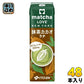伊藤園 matcha LOVE NEW YORK 抹茶カカオラテ 240ml 紙パック 48本 (24本入×2 まとめ買い) 抹茶 ラブ ニューヨーク まっちゃ らぶ ポリフェノール