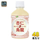 伊藤園 杏仁烏龍 260ml ペットボトル 48本 (24本入×2 まとめ買い) お茶 ウーロン茶 あんにんうーろん