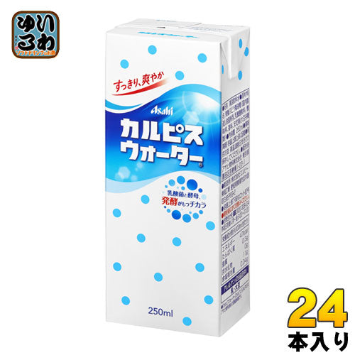 エルビー カルピスウォーター 250ml 紙パック 24本入 〔乳性飲料〕