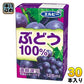 エルビー ぶどう100% 125ml 紙パック 30本入 果汁飲料 グレープジュース ぶどうジュース 果汁100％ 濃縮還元