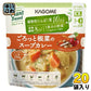 カゴメ プラントベース ごろっと根菜のスープカレー 250g パウチ 20袋 (10袋入×2 まとめ買い) 野菜と豆でできたスープ ヴィーガン ベジタリアン