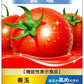 カゴメ トマトジュース 低塩 1L 紙パック 6本入 リコピン GABA 血圧対策 機能性表示食品