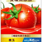 カゴメ トマトジュース 食塩無添加 1L 紙パック 12本 (6本入×2 まとめ買い) 送料無料 機能性表示食品 野菜ジュース 血圧・血中コレステロール対策