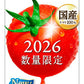 カゴメ トマトジュース プレミアム 2026 食塩無添加 195ml 紙パック 48本 (24本入×2 まとめ買い) PREMIUM 数量限定 2026年収穫 国産トマト100% リコピンたっぷり ストレート製法 プレミアムトマト トマトプレミアム
