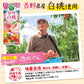 カゴメ 野菜生活100 信州白桃ミックス 195ml 紙パック 48本 (24本入×2 まとめ買い) 野菜ジュース