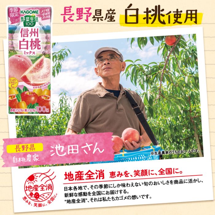 カゴメ 野菜生活100 信州白桃ミックス 195ml 紙パック 24本入 （野菜ジュース）