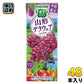 カゴメ 野菜生活100 山形デラウェアミックス 195ml 紙パック 48本 (24本入×2 まとめ買い) 野菜ジュース 季節限定