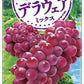 カゴメ 野菜生活100 山形デラウェアミックス 195ml 紙パック 48本 (24本入×2 まとめ買い) 野菜ジュース 季節限定