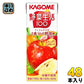 カゴメ 野菜生活100 アップルサラダ 200ml 紙パック 48本 (24本入×2 まとめ買い) 野菜ジュース 1食分の野菜使用 砂糖不使用