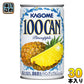 カゴメ 100CAN パインアップル 160g 缶 30本入 〔パインアップルジュース パイナップルジュース〕