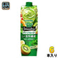カゴメ 野菜生活100 スムージー グリーンスムージー 1000g 紙パック 6本入 野菜ジュース 食物繊維 Smoothie