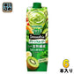カゴメ 野菜生活100 スムージー グリーンスムージー 1000g 紙パック 6本入 野菜ジュース 食物繊維 Smoothie