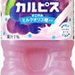 アサヒ カルピス ぶどう＆カルピス 1.5L ペットボトル 16本 (8本入×2 まとめ買い) 乳酸菌飲料 乳性飲料 カルピス