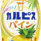 アサヒ カルピス トロピカルパイン 5倍希釈用 470ml プラスチックボトル 24本 (12本入×2 まとめ買い) 乳酸菌 乳酸飲料 希釈 季節限定