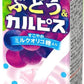 エルビー ぶどう&カルピス 250ml 紙パック 48本 (24本入×2 まとめ買い)