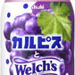 アサヒ カルピスとWelch's グレープ 480ml ペットボトル 24本入