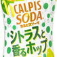 アサヒ カルピスソーダ シトラスと香るホップ 500ml ペットボトル 48本 (24本入×2 まとめ買い)