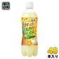 アサヒ カルピスソーダ 完熟パイン 500ml ペットボトル 48本 (24本入×2 まとめ買い)