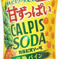 アサヒ カルピスソーダ 完熟パイン 500ml ペットボトル 48本 (24本入×2 まとめ買い)