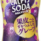 アサヒ カルピスソーダ果皮ごとすりつぶしたグレープ 500ml ペットボトル 24本入