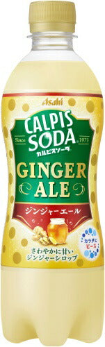 アサヒ カルピス カルピスソーダジンジャーエール 500ml ペットボトル 48本 (24本入×2 まとめ買い)