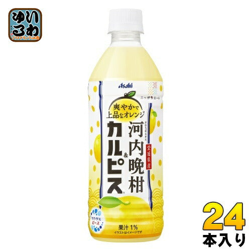 アサヒ 愛媛県産 河内晩柑&カルピス 500ml ペットボトル 24本入