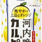 アサヒ 愛媛県産河内晩柑&カルピス 500ml ペットボトル 48本 (24本入×2 まとめ買い)