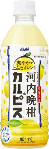 アサヒ 愛媛県産河内晩柑&カルピス 500ml ペットボトル 48本 (24本入×2 まとめ買い)