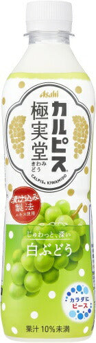 アサヒ カルピス 極美堂白ぶどう 500ml ペットボトル 48本 (24本入×2 まとめ買い) きわみどう ぶどうジュース 乳酸