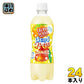 アサヒ カルピスソーダ はじけるオレGO 500ml ペットボトル 24本入 炭酸飲料