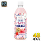 アサヒ 国産いちごラテ＆カルピス 500ml ペットボトル 48本 (24本入×2 まとめ買い) 乳飲料 ニッポンエール コラボ 国産