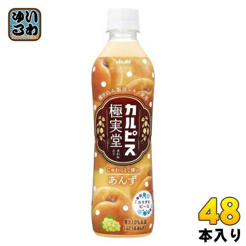 アサヒ カルピス 極実堂 あんず 500ml ペットボトル 48本 (24本入×2 まとめ買い) 乳飲料 杏 CALPIS