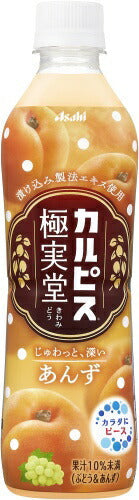 アサヒ カルピス 極実堂 あんず 500ml ペットボトル 24本入 乳飲料 杏 CALPIS