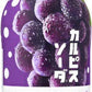 アサヒ カルピス カルピスソーダ 夜を愉しむぶどう 450ml ペットボトル 24本入 乳性炭酸飲料 乳酸菌飲料 ぶどう