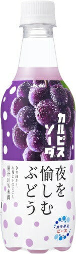 アサヒ カルピス カルピスソーダ 夜を愉しむぶどう 450ml ペットボトル 24本入 乳性炭酸飲料 乳酸菌飲料 ぶどう